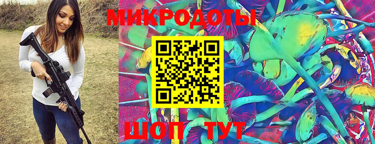 Псилоцибиновые грибы мицелий Тавда